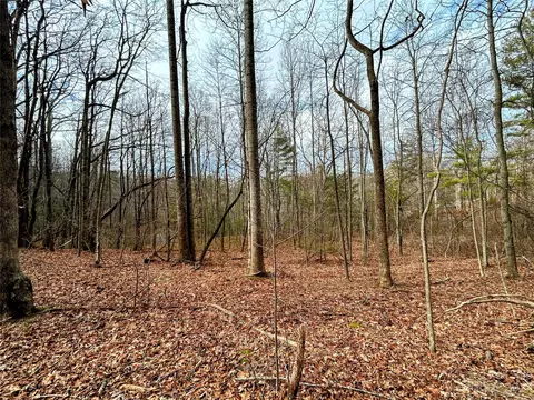 Azalea Way, Saluda, NC 28773 photo 6