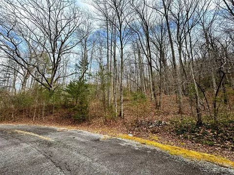 Azalea Way, Saluda, NC 28773 photo 9