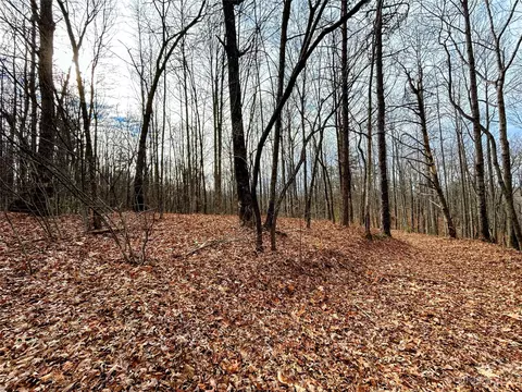 Rhododendron Drive, Saluda, NC 28773