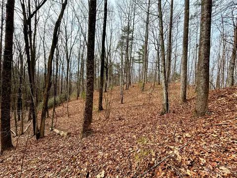 Rhododendron Drive, Saluda, NC 28773 photo 5
