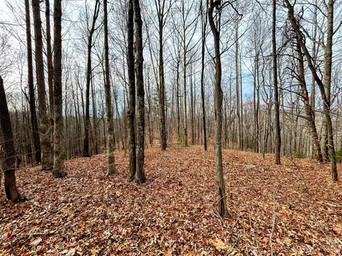Rhododendron Drive, Saluda, NC 28773 photo 3