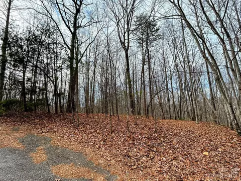 Rhododendron Drive, Saluda, NC 28773 photo 7