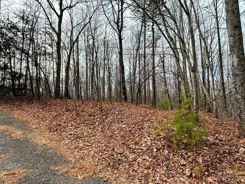 Rhododendron Drive, Saluda, NC 28773 photo 8