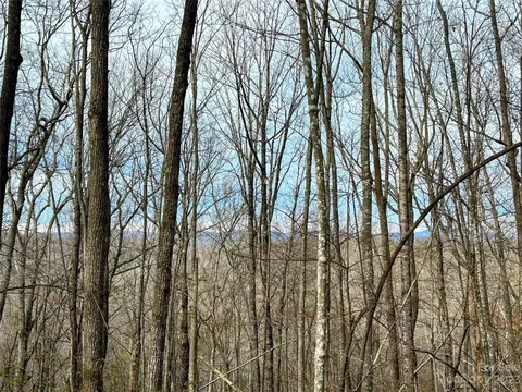 Rhododendron Drive, Saluda, NC 28773 photo 6
