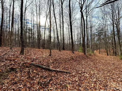 Rhododendron Drive, Saluda, NC 28773 photo 2