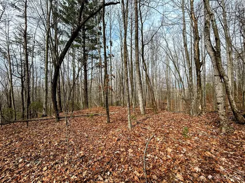 Rhododendron Drive, Saluda, NC 28773