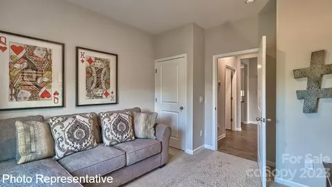 48 Burdock Rd, Fletcher, NC 28732 photo 10