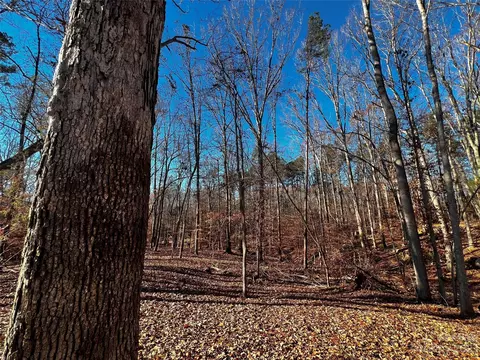 146 Copper Pine 3 Ln #3, Davidson, NC 28036 photo 5