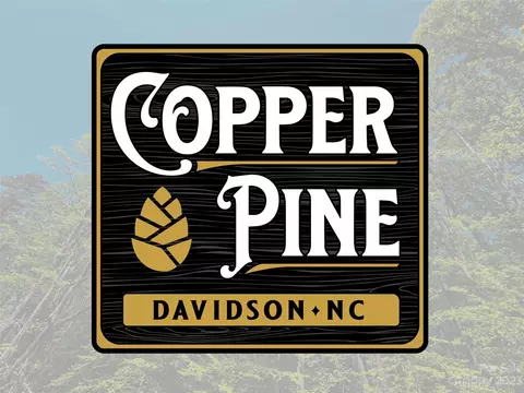 146 Copper Pine 3 Ln #3, Davidson, NC 28036 photo 8