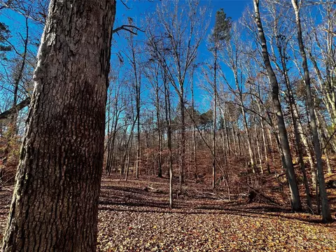 146 Copper Pine 3 Ln #3, Davidson, NC 28036 photo 5