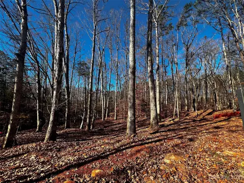 150 Copper Pine 4 Ln #4, Davidson, NC 28036 photo 5
