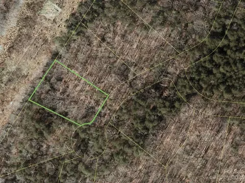 150 Copper Pine 4 Ln #4, Davidson, NC 28036 photo 6