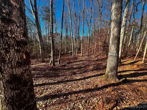 150 Copper Pine 4 Ln #4, Davidson, NC 28036 photo 3