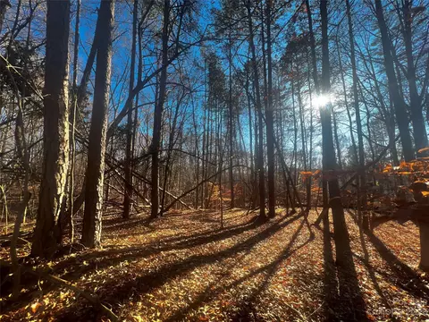 147 Copper Pine 9 Ln #9, Davidson, NC 28036 photo 6