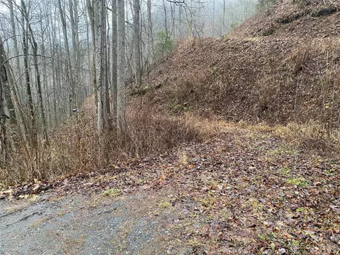 Forest Run Road, Whittier, NC 28789