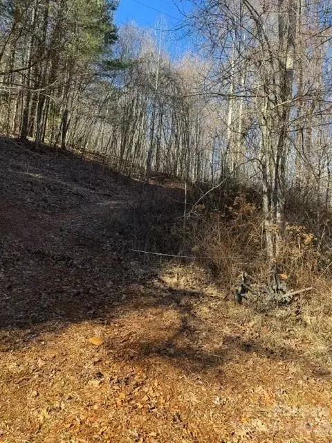 0 Cabin Creek Rd, Zirconia, NC 28790