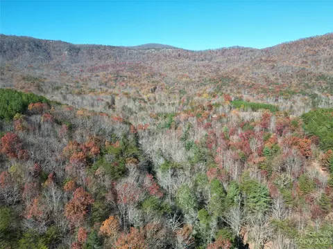 1163 State Rd, Mill Spring, NC 28756 photo 4