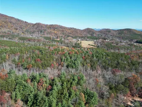 1163 State Rd, Mill Spring, NC 28756 photo 18