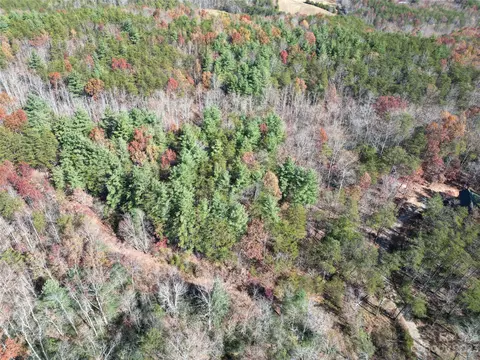 1163 State Rd, Mill Spring, NC 28756 photo 17