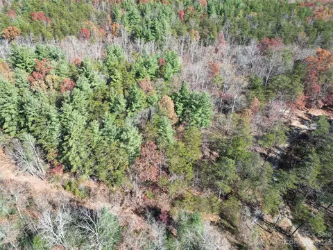 1163 State Rd, Mill Spring, NC 28756 photo 22