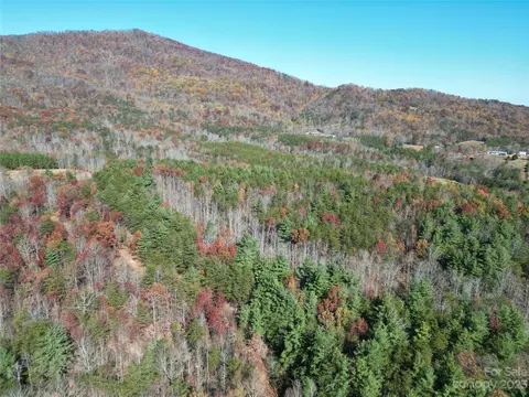 1163 State Rd, Mill Spring, NC 28756 photo 19