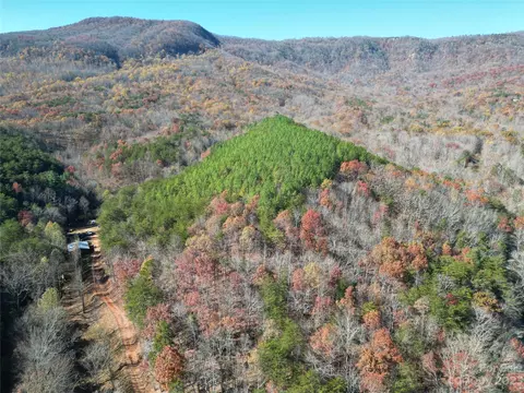 1163 State Rd, Mill Spring, NC 28756 photo 9