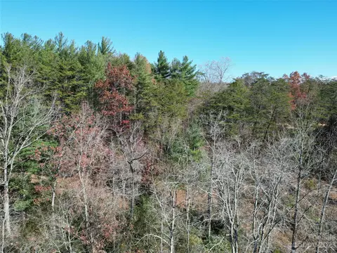 1163 State Rd, Mill Spring, NC 28756 photo 20