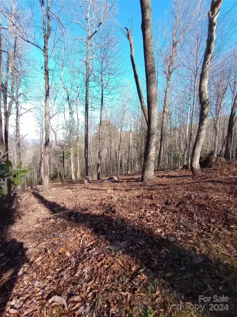 64 Corbin Mountain Rd, Zirconia, NC 28790