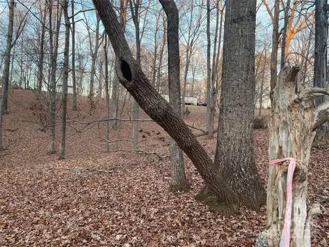 View/Area - 363 Reavis Rd, Harmony, NC 28634 photo 8 of 9