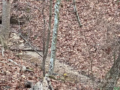 Other - 363 Reavis Rd, Harmony, NC 28634 photo 2 of 7