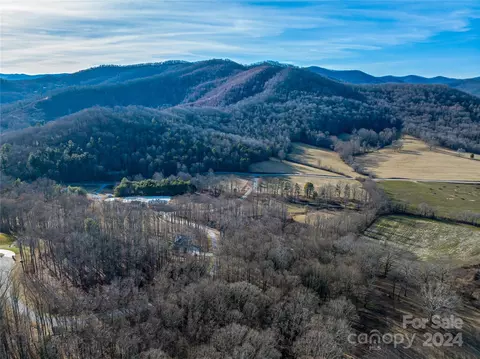 62 Powder Springs 2 Trl #2, Arden, NC 28704