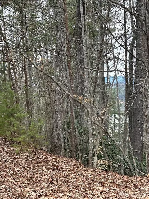 Waters Edge Drive, Nebo, NC 28761