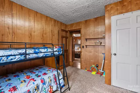 314 Moody Ridge Rd, Clyde, NC 28721 photo 16
