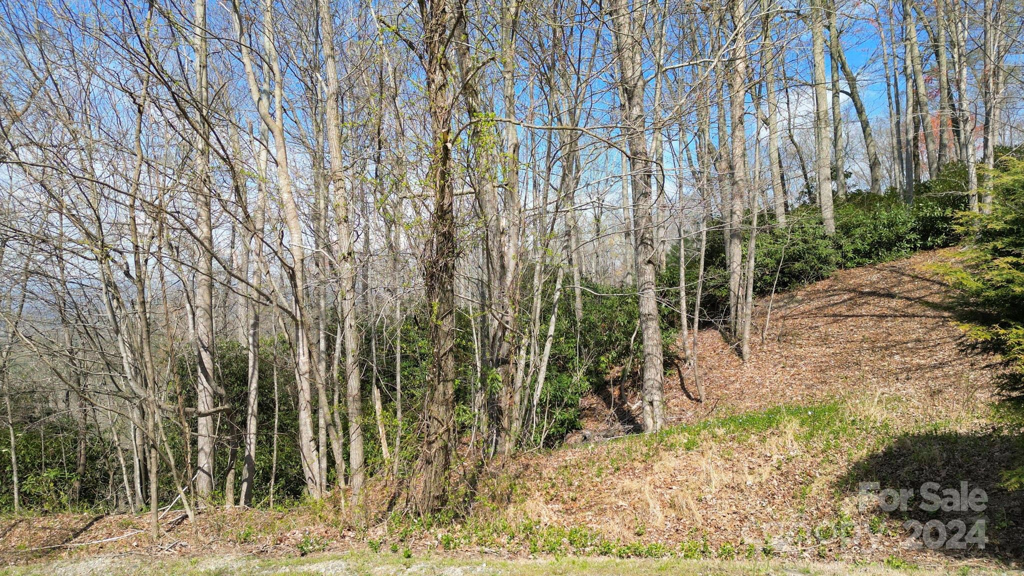 25 Fire Azalea 31 Ln Unit 31  