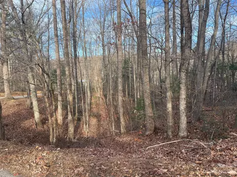 000 Robin Ln, Saluda, NC 28773 photo 8