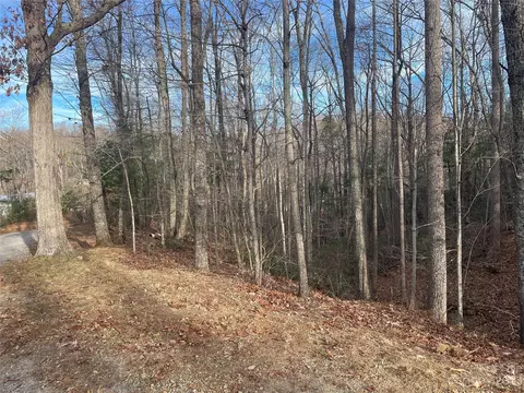 000 Robin Ln, Saluda, NC 28773 photo 7