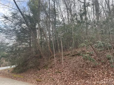 000 Robin Ln, Saluda, NC 28773 photo 3