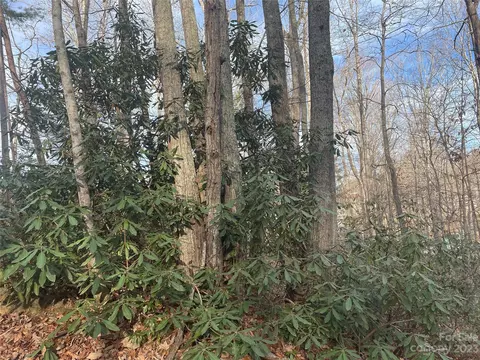 000 Robin Ln, Saluda, NC 28773 photo 4