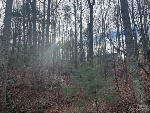 000 Robin Ln, Saluda, NC 28773 photo 5