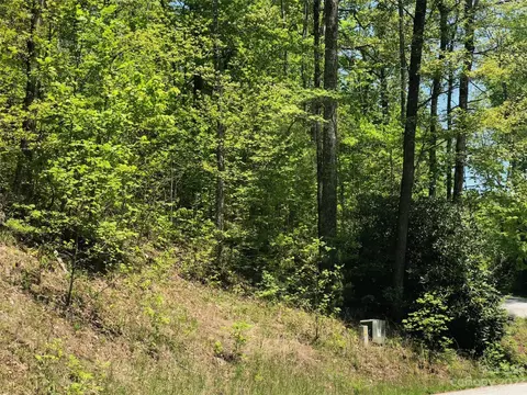 Laurel Thicket Lane, Brevard, NC 28712 photo 4