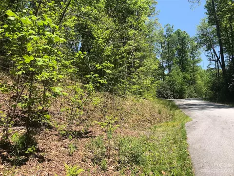 Laurel Thicket Lane, Brevard, NC 28712 photo 13