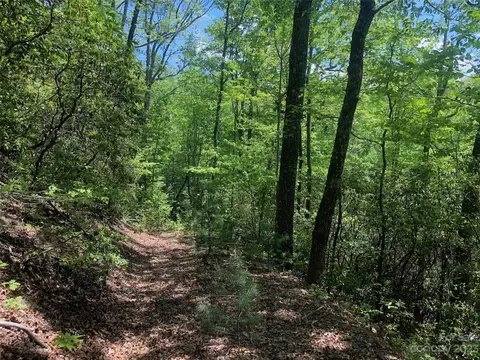 Laurel Thicket Lane, Brevard, NC 28712 photo 7