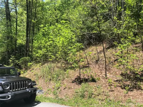 Laurel Thicket Lane, Brevard, NC 28712 photo 11