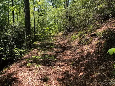 Laurel Thicket Lane, Brevard, NC 28712 photo 8