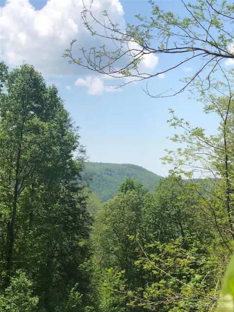 Laurel Thicket Lane, Brevard, NC 28712 photo 15