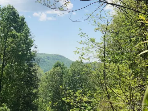 Laurel Thicket Lane, Brevard, NC 28712