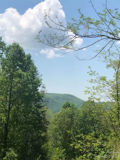 Laurel Thicket Lane, Brevard, NC 28712 photo 14