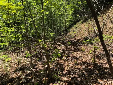 Laurel Thicket Lane, Brevard, NC 28712 photo 9