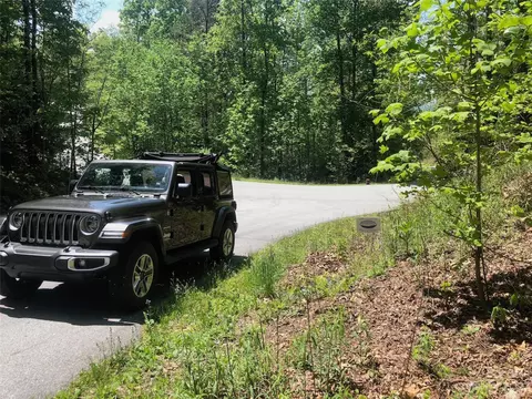 Laurel Thicket Lane, Brevard, NC 28712 photo 10