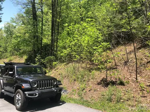Laurel Thicket Lane, Brevard, NC 28712 photo 12